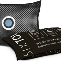 Odvlhčovací polštářek do auta DRY CAR ONE 350g SIXTOL