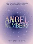 Angel Numbers - Remington Donovan