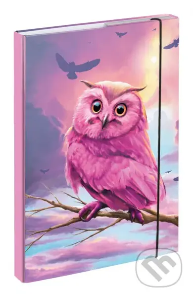 Desky na školní sešity Baagl Sova (A4)