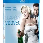 Slaměný vdovec - Billy Wilder - film z kategorie Komedie