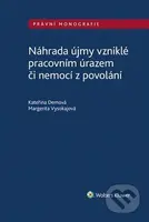 Náhrada újmy vzniklé pracovním úrazem či nemocí z povolání - kniha z kategorie Odborné a naučné