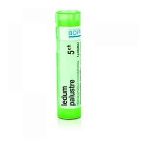 BOIRON Ledum Palustre CH5 4 g