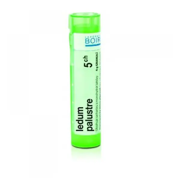 BOIRON Ledum Palustre CH5 4 g