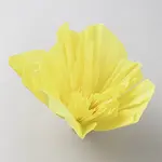 Crepe Paper Flowers Decoration for Wall