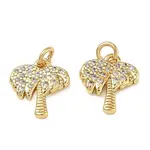 Brass Micro Pave Clear Cubic Zirconia Charms
