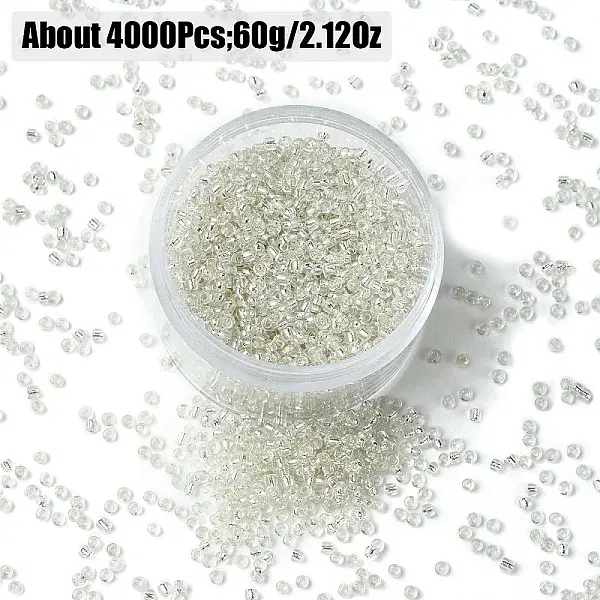 60G Glass Seed Beads