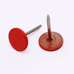 Iron Flat Head Push Pins