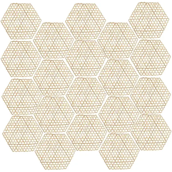 Bamboo Net Hexagon Placemat