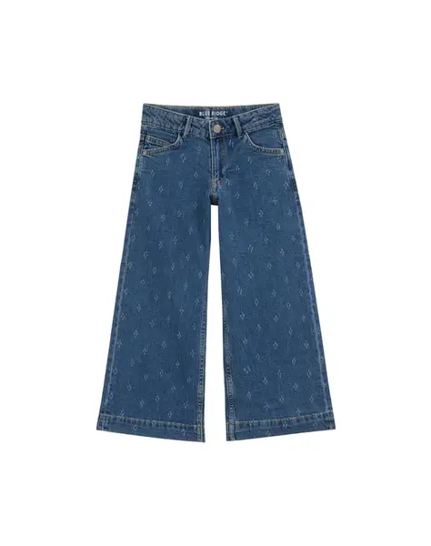 WE Fashion Džínsy  modrá denim