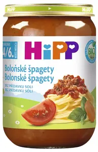 Bolonské špagety