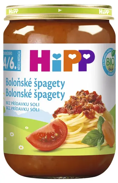 Bolonské špagety