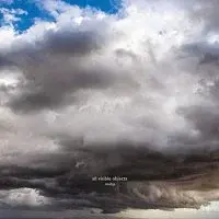 Moby – All Visible Objects LP