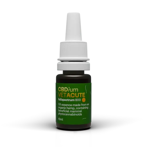 CBDium VETACUTE 800 fullspectrum 10ML
