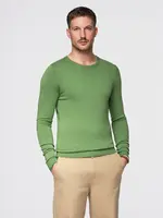 Ombre Classic men's sweater with round neckline - green