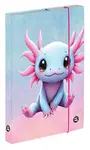 Box na sešity A5 Axolotl