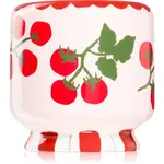 Paddywax A Dopo Tomato Vine vonná sviečka 226 g