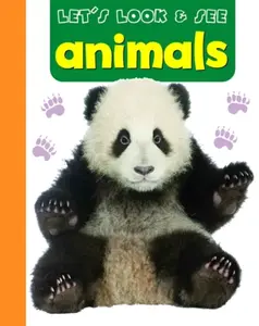 Let's Look & See: Animals - Armadillo