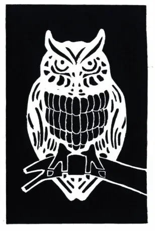 Linorytová barva Schmincke 250ml – 735 ivory black