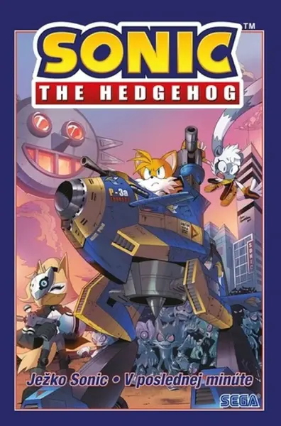 Ježko Sonic 6 - V poslednej minúte - Ian Flynn