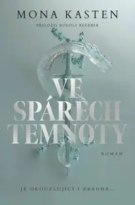 Ve spárech temnoty - Mona Kasten