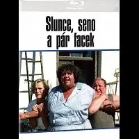 Různí interpreti – Slunce, seno a pár facek Blu-ray
