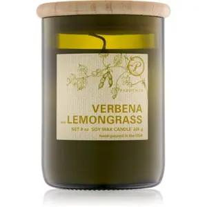 Paddywax Eco Green Verbena & Lemongrass vonná svíčka 226 g