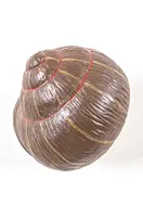 Nástenný vešiak Seletti Sleeping Snail #1