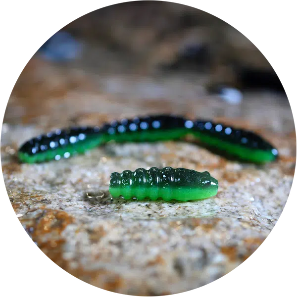Redbass gumová nástraha trout grub black/green - 3x25 mm