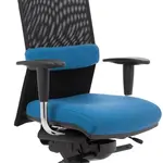 PEŠKA Kancelářská  balanční židle REFLEX BALANCE XL