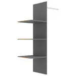 Xora VNITŘNÍ ČLENĚNÍ,