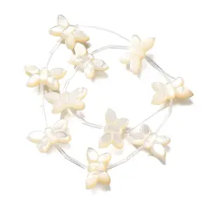 Natural White Shell Beads