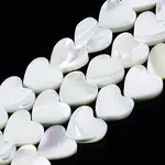 Natural Trochid Shell/Trochus Shell Beads Strands