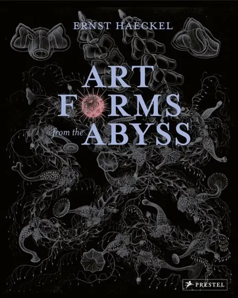 Art Forms from the Abyss - Dylan W. Evans, David J. Roberts, Peter J. le B. Williams, David N. Thomas