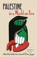 Palestine in a World on Fire (A Global Conversation) - kniha z kategorie Humanitní a společenské vědy