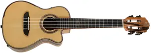 Ortega BYWSM-U