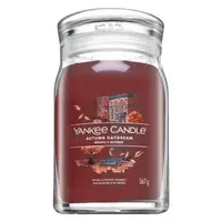 Yankee Candle Autumn Daydream 567 g