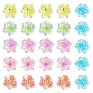 100Pcs Resin Cabochons