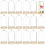 30Pcs Arch Glass Dome Cover