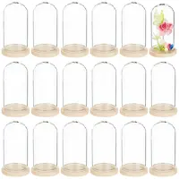 30Pcs Arch Glass Dome Cover