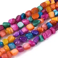 Natural Freshwater Shell Beads Strands