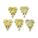 Natural Freshwater Shell Carved Pendants