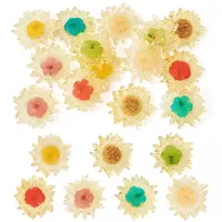 14Pcs 7 Colors Translucent Resin Pendants