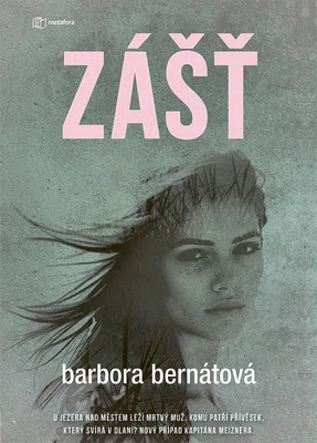 Kniha: Zášť od Bernátová Barbora