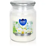 BISPOL Premium Line Jasmine vonná sviečka 500 g