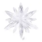 Transparent Acrylic Pendants