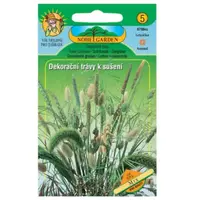 Dekoračné trávy na sušenie