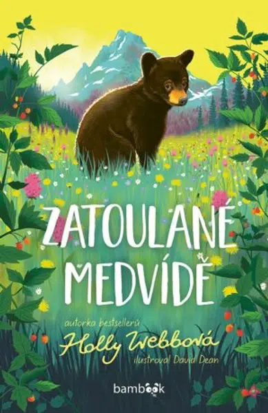 Zatoulané medvídě - Holly Webbová - e-kniha