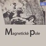 Jaroslav Kepka, Luděk Munzar – Magnetické pole