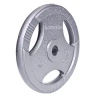 inSPORTline Litinový kotouč  Hamerton 25 kg 30 mm