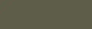 Brush pen Ecoline 718 Warm Grey